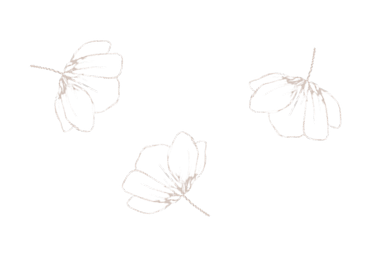 Motif floral Soins Essentiels